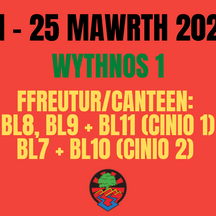 Wythnos 1