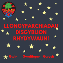 LLONGYFARCHIADAU! CONGRATULATIONS!