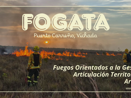 FOGATA 2026 - Puerto Carreño, Vichada
