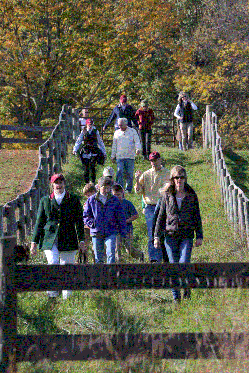 Moving off behind hounds