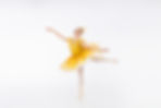 015A9578-Edit.jpg