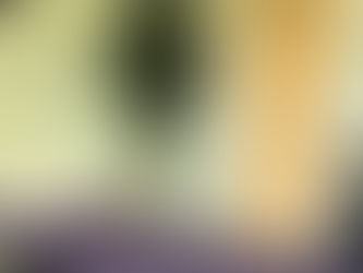 tranquil massage therapy room with table and equipment ready to use