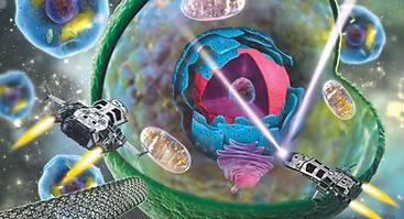 fantastic voyage