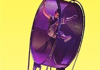A female performer in a wheel of Death, the wheel is lit purple against a yellow background