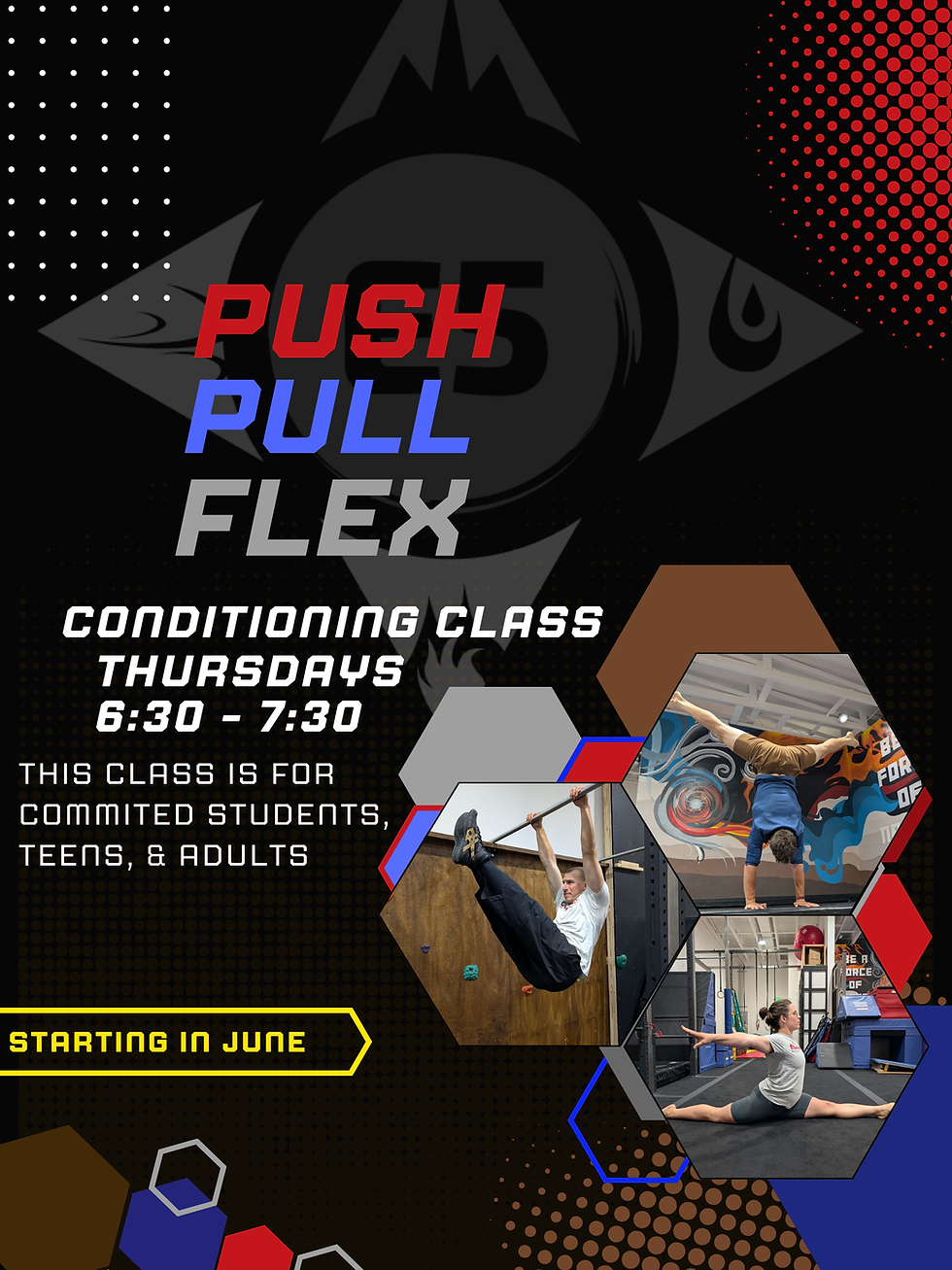 PPF class Flyer (1)