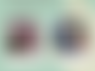 JOURNEE PORTES OUVERTES-BILLOM