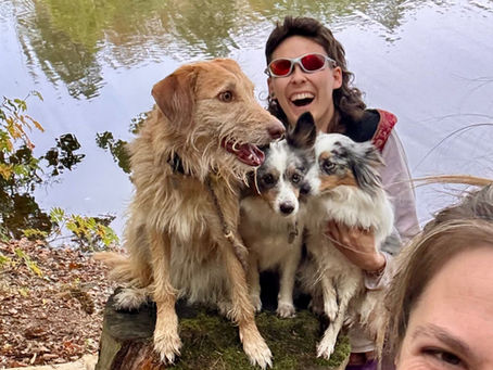 Lächelnde Frauen mit drei Hunden am Waldsee; eine macht ein Selfie, herbstliche Blätter, fröhliche Stimmung.