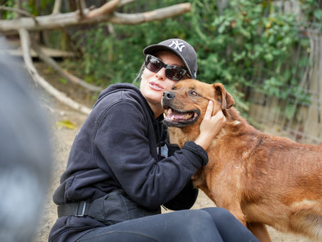 Frau mit Yankees-Cap und Sonnenbrille umarmt draußen einen braunen Hund (Lord); beide wirken entspannt.