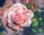Full Bloom