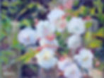 White Rose Bush, 2023