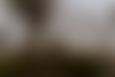 The Best California Elopement Locations for Intimate Celebrations With Loved Ones