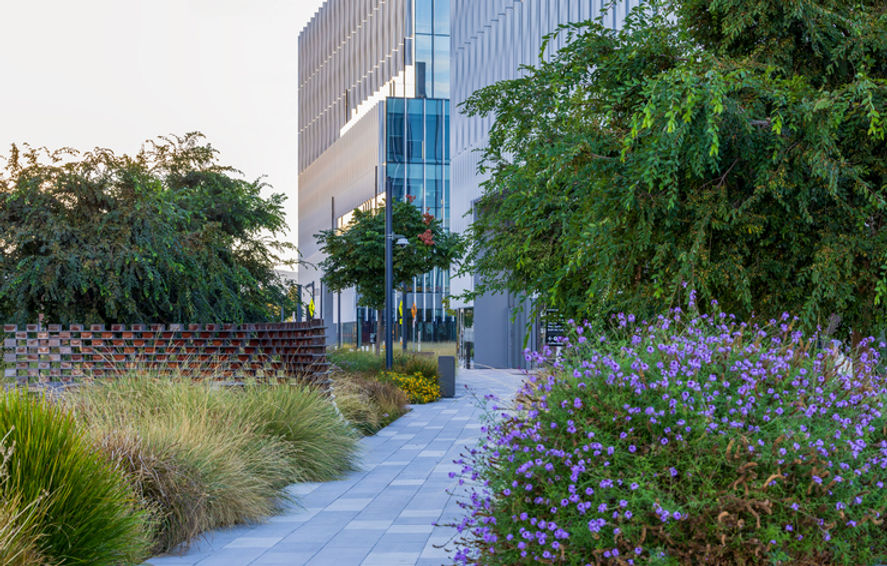 office-building-landscaping-1806336873.jpg