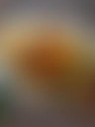 HOW TO MAKE VEGGIE SKEWERS and a DELICIOUS MARINADE 