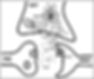 Shad Diagnostics 4-11-24 5.jpg