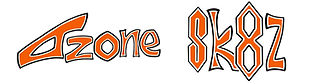 Jzone Sk8z Logo 2