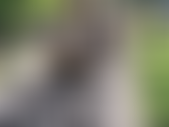 The traffic police destroyed 410 seized bike silencers.