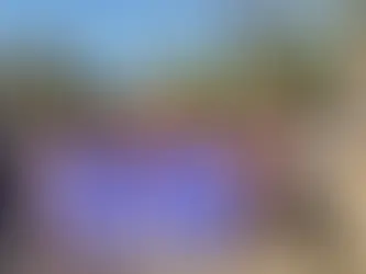 “A procession was held in the city on the occasion of Tribal Pride Day celebrations.”