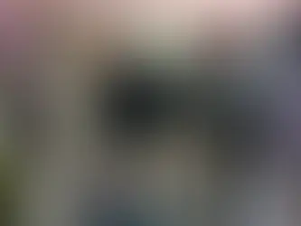 “Police and BSF raid the house of a cannabis dealer.”