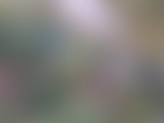 Ninth success of Jatrapur Police Station on the path toward a drug-free Tripura