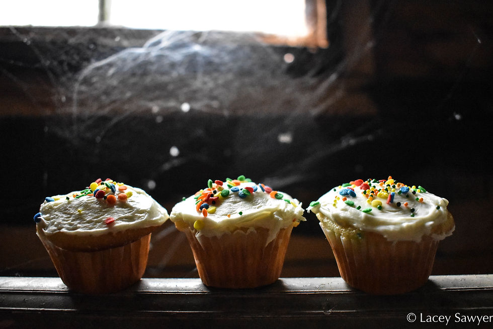 Cupcake Fiasco-0739