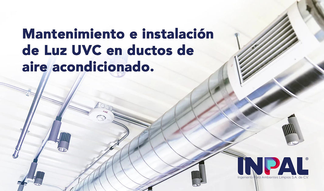 Inpal Inpal – インパルとは _ ホシノインパル – FABXL