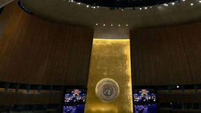 The Impact of International Law