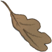Hibi Tsuzuku_Saída_027-folhinhas_05.png