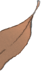 Hibi Tsuzuku_Saída_027-folhinhas_04.png