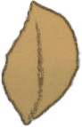 Hibi Tsuzuku_Saída_027-folhinhas_09.png