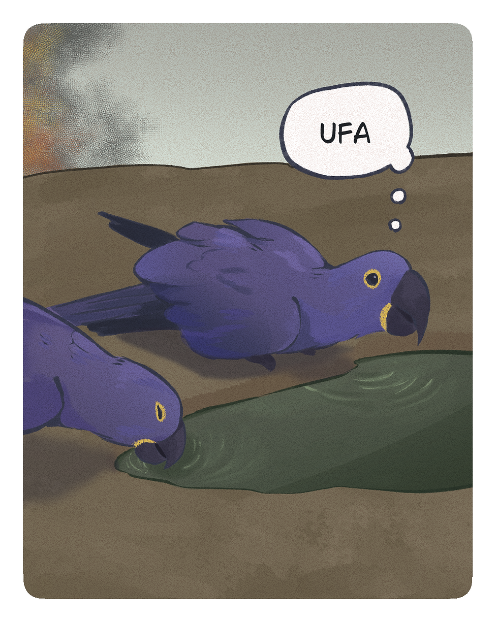 SAVE Brasil_03 março_003.png