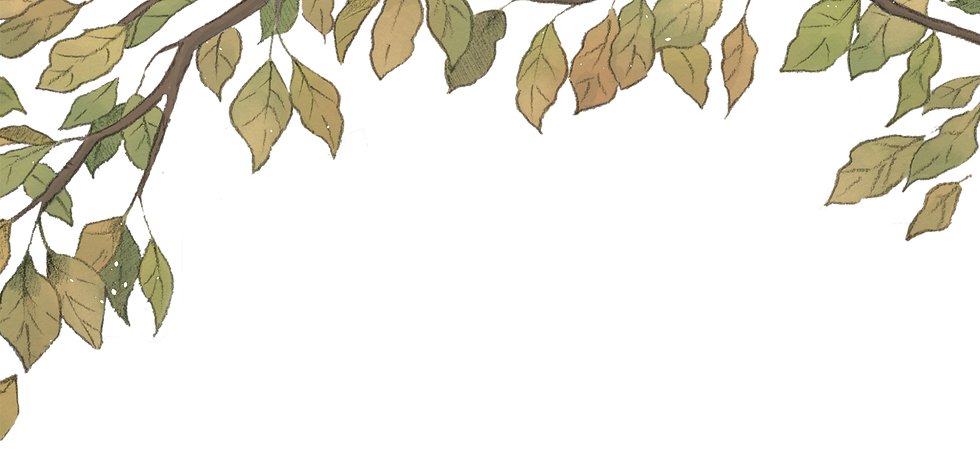 Hibi Tsuzuku_Saída_025.png