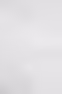 BACKGROUND 1.avif