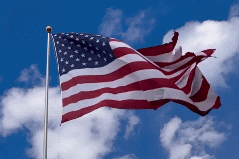 Independence Day Fireworks GIF by Charli Gurl.gif