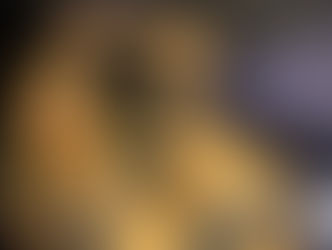 Till Lindemann live in Munich. Strong vocals, great sound and intense energy at Olympiahalle with Aesthetic Perfection.