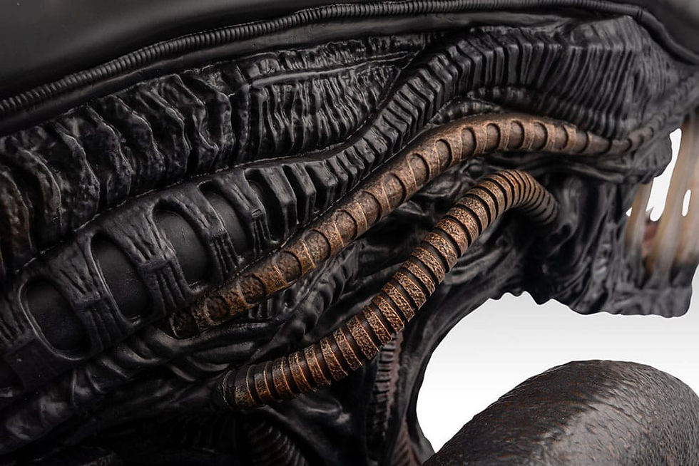 Thumbnail: Alien Romulus Bust 1/1 Xenomorph 53 cm
