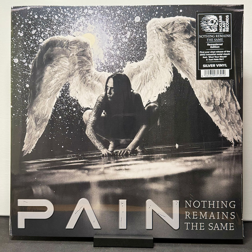 Pain - Nothing Remains The Same