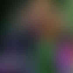 Snakebite live in Nürnberg