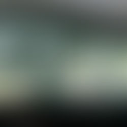 Blindados: Tipos e cuidados para o seu veículo