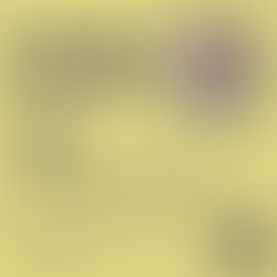 WeCare Auto lança Red Flags para automatizar detecção de fraudes e priorizar análise de sinistros