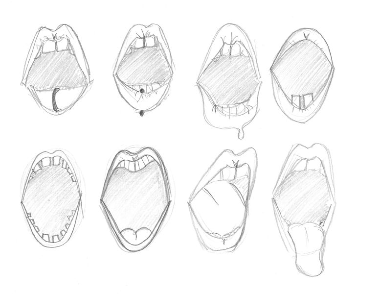 mouths 1.jpeg