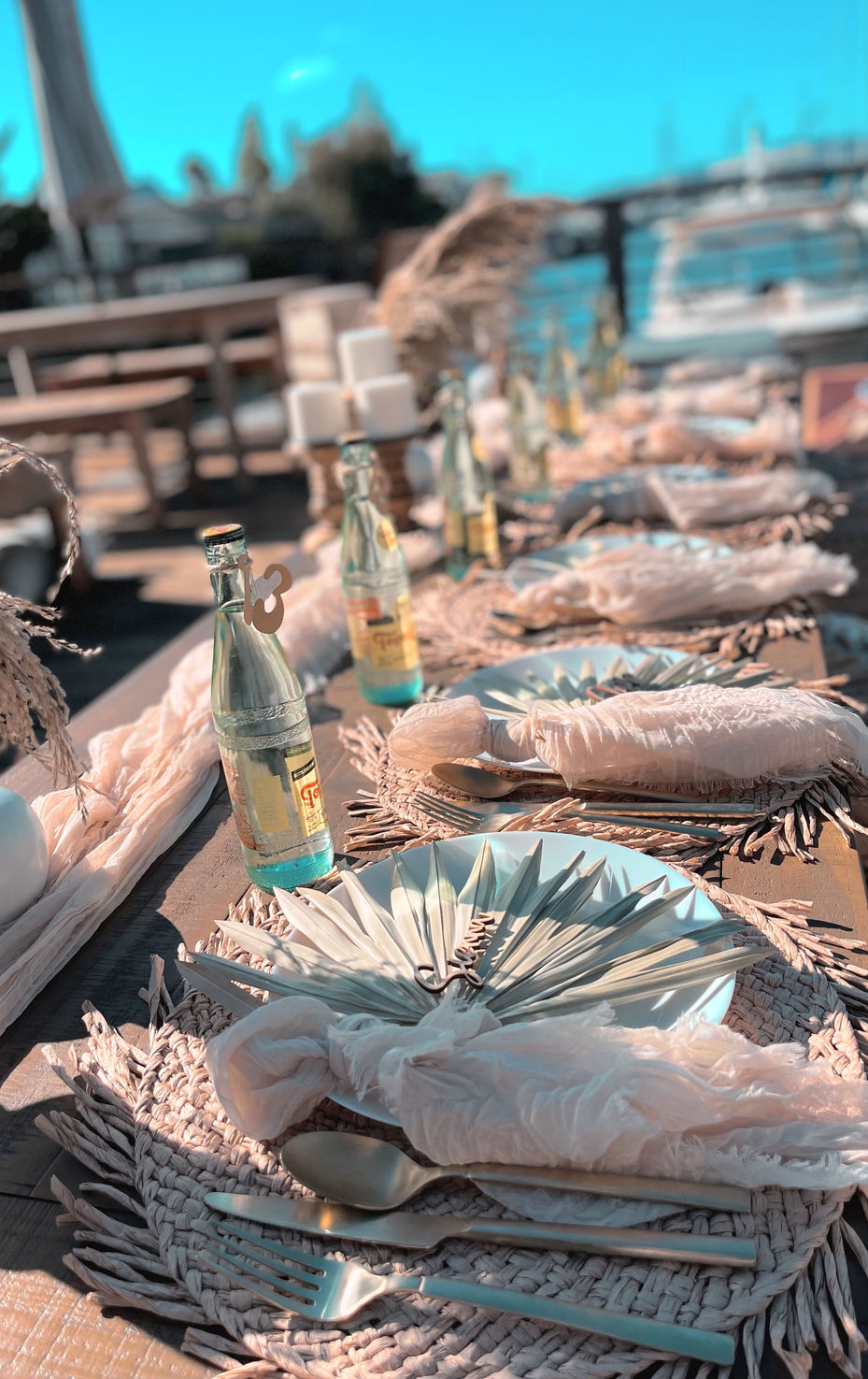 image_6483441 (1).JPG