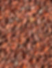 cacao beans2.jpg