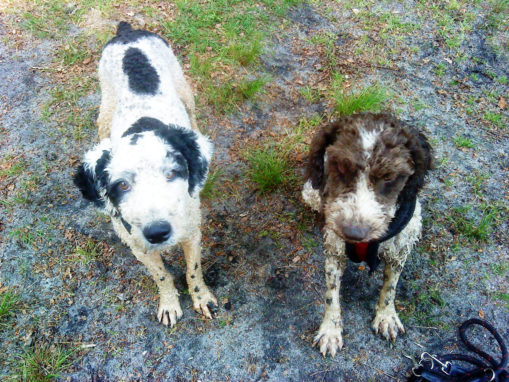 Eddy und Lina.JPG