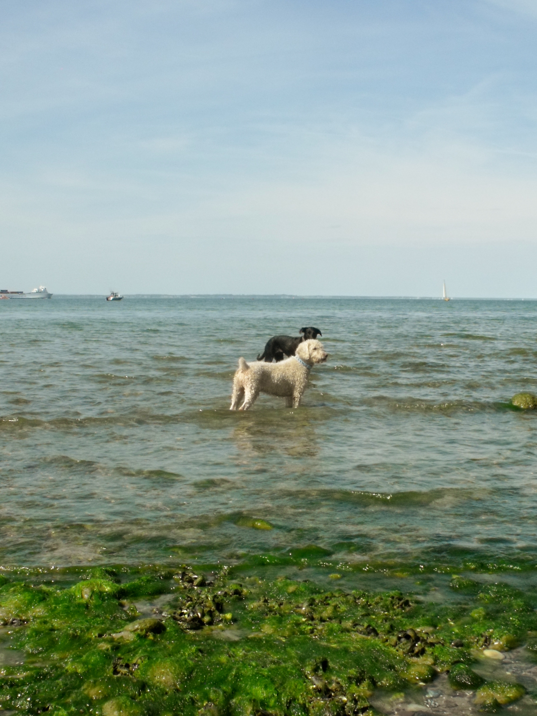 DSCF4811.JPG