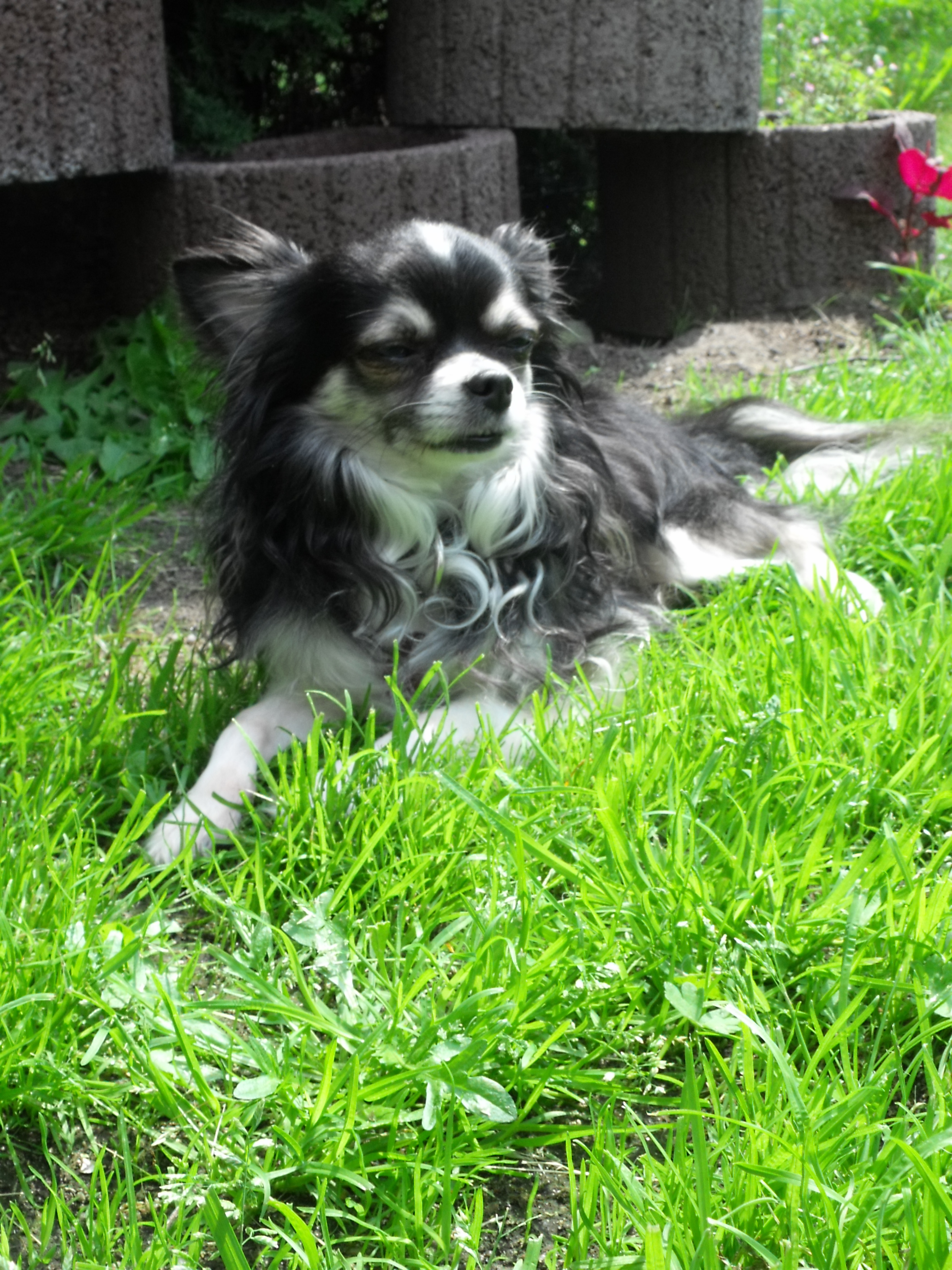 DSCF3854.JPG