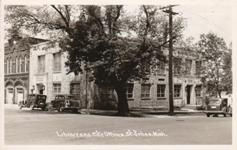 St. Johns, MI City Building
