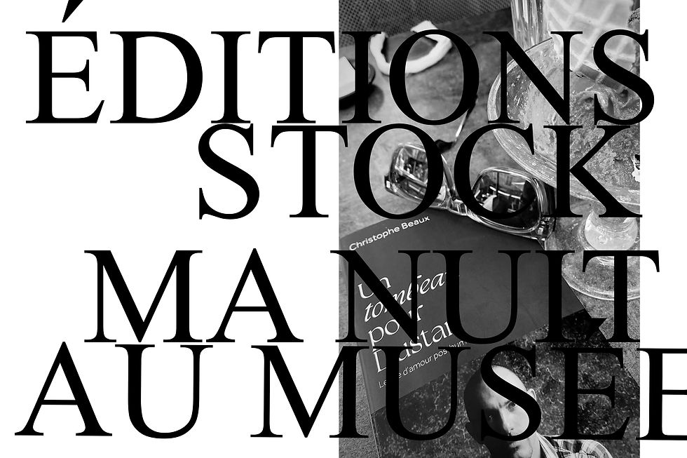 THE INSTIGATOR / Editions Stock / Ma nuit au musee / photo Sylvain Marcoux / artwork Zoltan Alexander ZOLTAN+MEDIA