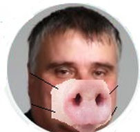 cabeza de chancho.JPG