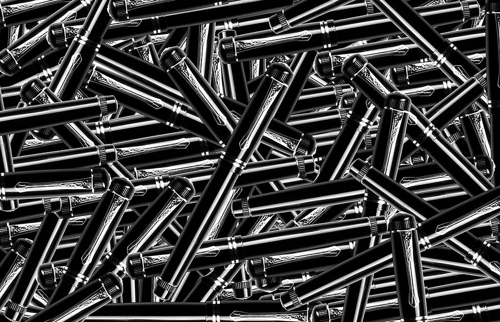 Schönheit und Funktion