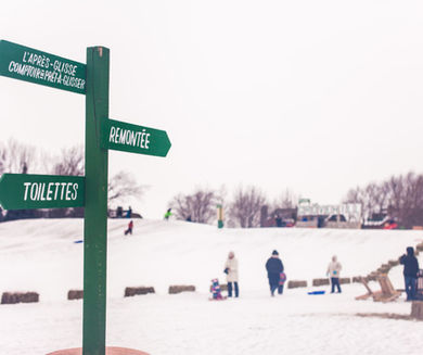 20190119_Grovehill_Pepiniere_CharlesOlivierBourque-79-1024x683.jpeg
